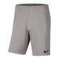 Spordipüksid poistele Nike Park III Knit Jr BV6865-017, 52319, hall цена и информация | Poiste lühikesed püksid | kaup24.ee