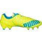 Jalgpallijalatsid Puma Evo Speed 1.4 LTH FG M 103615 03 цена и информация | Jalgpallijalatsid | kaup24.ee