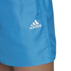 Ujumispüksid Adidas Solid CLX SH SL M FJ3381, 52127 hind ja info | Ujumispüksid, shortsid | kaup24.ee