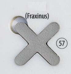 Fugalite Bio Parkett fraxinus 57 epoksümördi puidust välisplaatide jaoks, 3 kg (A + B) hind ja info | Krundid, pahtel jne. | kaup24.ee