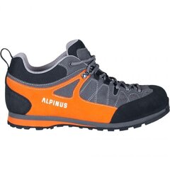 Meeste matkasaapad Alpinus The Ridge Low Pro GR43298 76389 hind ja info | Meeste kingad, saapad | kaup24.ee