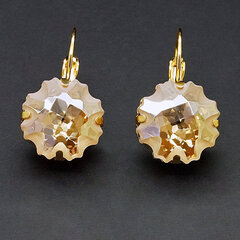 Naiste kõrvarõngad Diamond Sky „Gorgon (Golden Shdaow)“ koos Swarovski kristallidega DS02A089 hind ja info | Kõrvarõngad | kaup24.ee