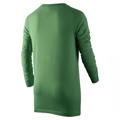 Meeste džemper Nike Park Goalie II Junior 588441-302, 59945 hind ja info | Meeste pusad | kaup24.ee