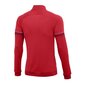 Meeste dressipluus Nike Dri-FIT Academy 21 M CW6113-657, punane цена и информация | Meeste spordiriided | kaup24.ee