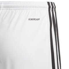 Meeste lühikesed spordipüksid Adidas Squadra 21 Short Youth Jr GN5766 hind ja info | Poiste lühikesed püksid | kaup24.ee