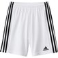 Meeste lühikesed spordipüksid Adidas Squadra 21 Short Youth Jr GN5766 цена и информация | Poiste lühikesed püksid | kaup24.ee