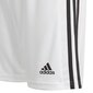 Meeste lühikesed spordipüksid Adidas Squadra 21 Short Youth Jr GN5766 цена и информация | Poiste lühikesed püksid | kaup24.ee