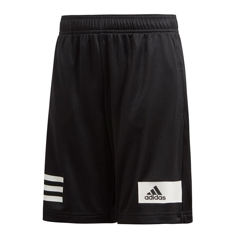 Poiste spordipüksid Adidas Climacool TR Short Junior DV1363 hind ja info | Poiste lühikesed püksid | kaup24.ee