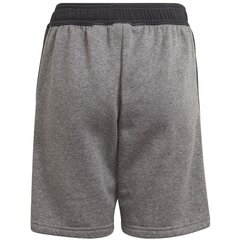 Спортивные шорты для мальчиков Adidas Tiro 21 Sweat Short Jr GP8806 цена и информация | Poiste lühikesed püksid | kaup24.ee