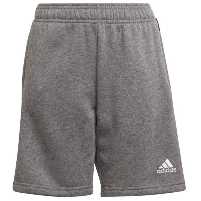 Poiste lühikesed spordipüksid Adidas Tiro 21 Sweat Short Jr GP8806 цена и информация | Poiste lühikesed püksid | kaup24.ee