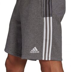 Meeste lühikesed spordipüksid Adidas Tiro 21 Sweat M GP8808 77815 цена и информация | Мужская спортивная одежда | kaup24.ee