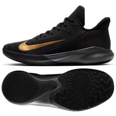 Баскетбольные кроссовки мужские Nike precision IV M CK1069002, черные цена и информация | Кроссовки для мужчин | kaup24.ee