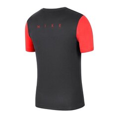 Футболка спортивная мужская Nike Academy Pro Top SS M BV6926-079 51966, красная цена и информация | Мужская спортивная одежда | kaup24.ee