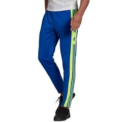 Meeste spordipüksid Adidas Squadra 21 Training Pant M GP6451 hind ja info | Meeste spordiriided | kaup24.ee