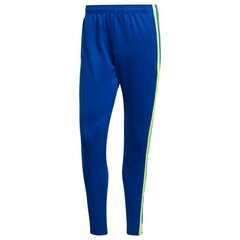 Спортивные штаны мужские Adidas Squadra 21 Training Pant M GP6451 цена и информация | Мужская спортивная одежда | kaup24.ee
