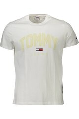 Meeste T-särk Tommy Hilfiger, valge hind ja info | Meeste T-särgid | kaup24.ee