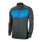 Meeste dressipluus Nike Dry Academy Pro M BV6918-067, hall цена и информация | Meeste pusad | kaup24.ee