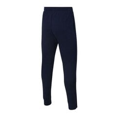 Спортивные штаны детские Nike Park 20 Fleece Jr CW6909-451, синие цена и информация | Шорты для мальчиков | kaup24.ee