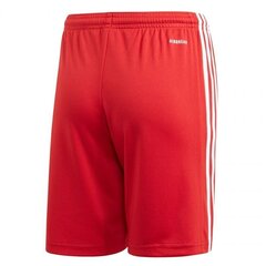 Spordipüksid poistele Adidas Squadra 21 Short Y Jr GN5761 цена и информация | Шорты для мальчиков | kaup24.ee