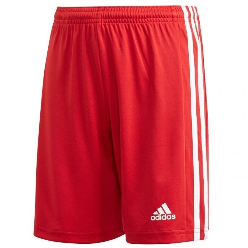 Spordipüksid poistele Adidas Squadra 21 Short Y Jr GN5761 hind ja info | Poiste lühikesed püksid | kaup24.ee