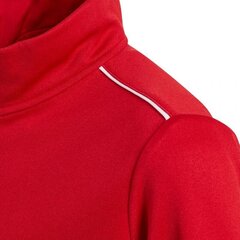 Джемпер Adidas CORE 18, JR CV4141, 45317, красный цена и информация | Свитеры, жилетки, пиджаки для мальчиков | kaup24.ee