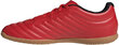 Jalgpallijalatsid Adidas Copa 20.4, punane hind ja info | Jalgpallijalatsid | kaup24.ee