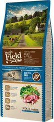 Sam's Field Adult Large Beef & Veal koeratoit 13 kg hind ja info | Kuivtoit koertele | kaup24.ee