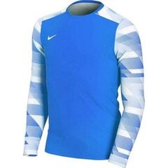 Спортивная футболка для мальчиков Nike Dry Park IV JSY LS JR CJ6072-463, 52800 цена и информация | Рубашки для мальчиков | kaup24.ee