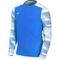 Poiste spordisärk Nike Dry Park IV JSY LS JR CJ6072-463, 52800 цена и информация | Poiste särgid | kaup24.ee