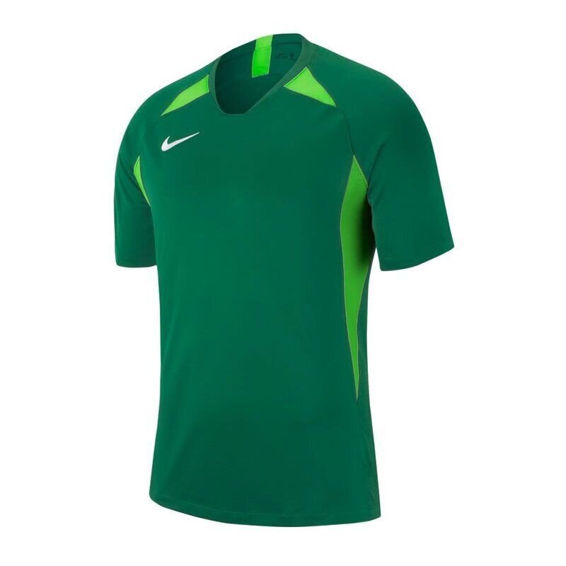 Poiste spordisärk Nike Legend SS Junior AJ1010-302, roheline цена и информация | Poiste särgid | kaup24.ee
