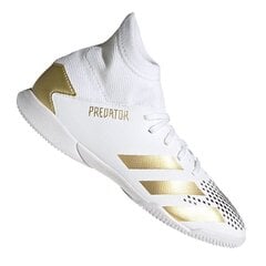 Футбольные бутсы Adidas Predator 20.3 IN Jr FW9218, 64064 цена и информация | Футбольные бутсы | kaup24.ee