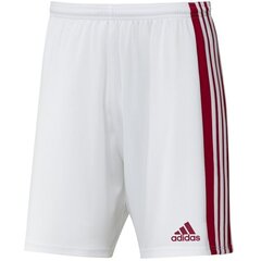 Spordipüksid meestele Adidas Squadra 21 Short M GN5770, valge hind ja info | Meeste spordiriided | kaup24.ee