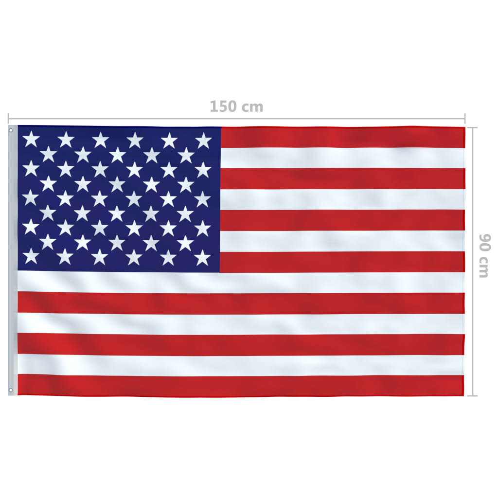 vidaXL USA lipp 90 x 150 cm цена и информация | Lipud ja tarvikud | kaup24.ee