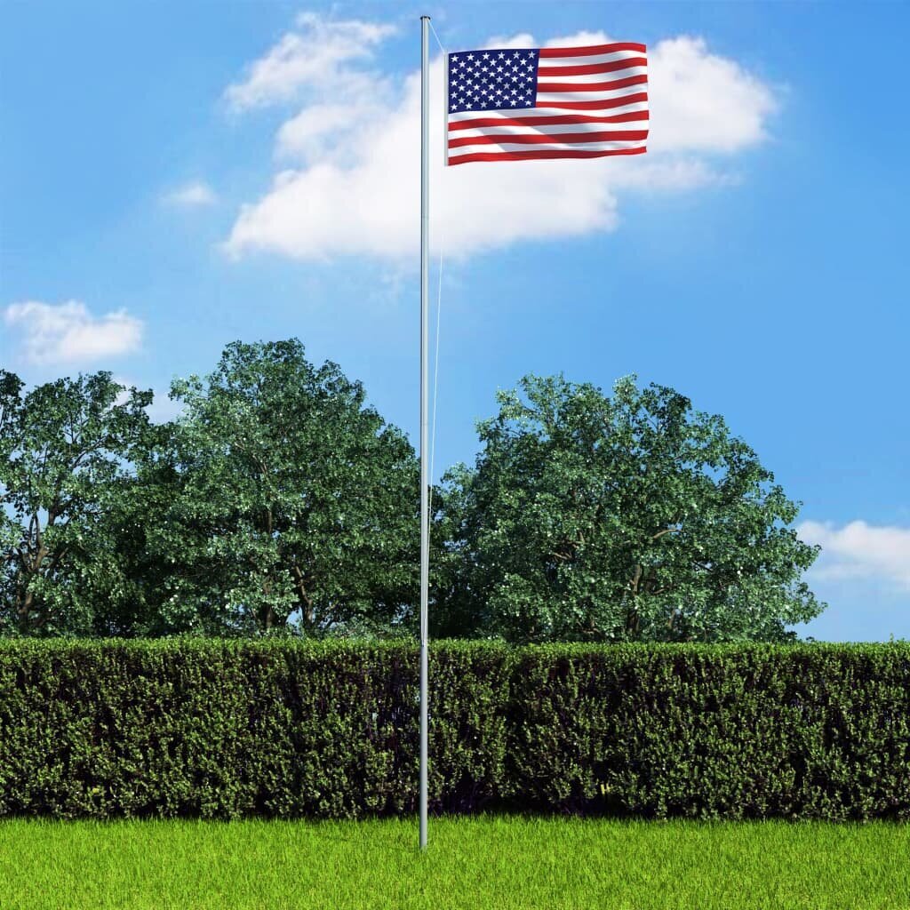 vidaXL USA lipp 90 x 150 cm hind ja info | Lipud ja tarvikud | kaup24.ee