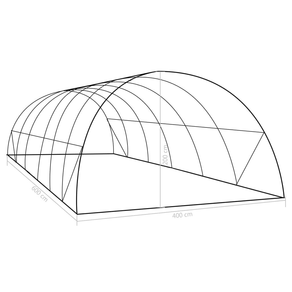 vidaXL kasvuhoone 24 m² 6 x 4 x 2 m цена и информация | Kasvuhooned | kaup24.ee