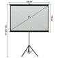 vidaXL projektori ekraan statiiviga, 50" 1:1 цена и информация | Projektori ekraanid | kaup24.ee