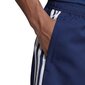 Meeste lühikesed püksid Adidas Tiro 19 Woven M DT5782, sinine цена и информация | Meeste lühikesed püksid | kaup24.ee