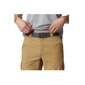 Meeste lühikesed püksid Columbia Silver Ridge II Cargo Short M 1794921 243 hind ja info | Meeste lühikesed püksid | kaup24.ee