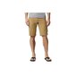 Meeste lühikesed püksid Columbia Silver Ridge II Cargo Short M 1794921 243 hind ja info | Meeste lühikesed püksid | kaup24.ee