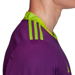 Джемпер вратаря Adidas AdiPro 20 GK M FI4194, фиолетовый цена и информация | Мужская спортивная одежда | kaup24.ee