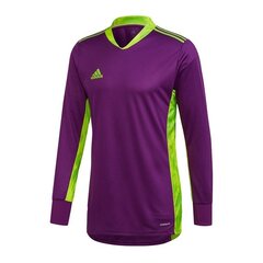 Джемпер вратаря Adidas AdiPro 20 GK M FI4194, фиолетовый цена и информация | Мужская спортивная одежда | kaup24.ee