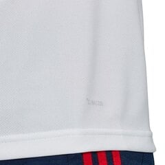 Спортивная футболка мужская Adidas Arsenal TR M EJ6278, белая цена и информация | Мужская спортивная одежда | kaup24.ee