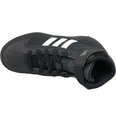 Кеды для тренировок для мальчиков Adidas Havoc K Jr AQ3327 (49208), черные цена и информация | Детская спортивная обувь | kaup24.ee