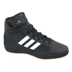 Treeningtossud Adidas Havoc K Jr AQ3327 (49208) цена и информация | Детская спортивная обувь | kaup24.ee