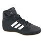 Treeningtossud Adidas Havoc K Jr AQ3327 (49208) hind ja info | Laste spordijalatsid | kaup24.ee