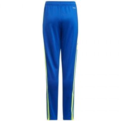 Spordipüksid poistele Adidas Squadra 21 Training Pant Youth Jr GP6449 hind ja info | Poiste püksid | kaup24.ee