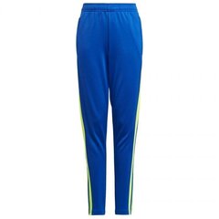 Спортивные штаны для мальчиков Adidas Squadra 21 Training Pant Youth Jr GP6449 цена и информация | Шорты для мальчиков | kaup24.ee