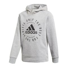 Poiste dressipluus Adidas Sport ID HD Junior DV1701, hall цена и информация | Свитеры, жилетки, пиджаки для мальчиков | kaup24.ee