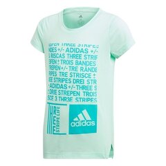 Спортивная футболка для мальчиков Adidas YG Graph Tee Junior DJ1093 цена и информация | Рубашки для мальчиков | kaup24.ee