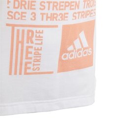 Sportlik T-särk poistele Adidas YG TR Graph Tee Junior DJ1061 hind ja info | Poiste särgid | kaup24.ee